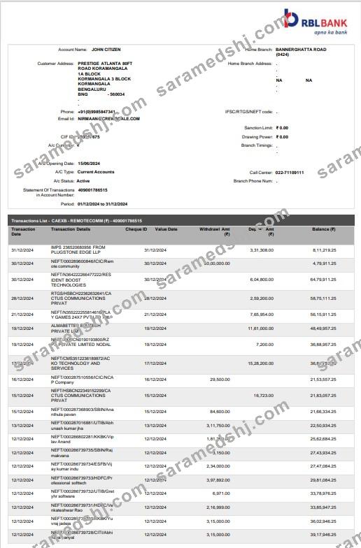 India RBL bank statement Word and PDF template, 2 pages